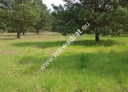 Działka 1352m2 w sąsiedztwie lasu Ojrzanów miniaturka 12