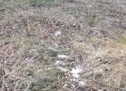 Zabudowa szeregowa, bliźniacza i jednorodzinna. miniaturka 1