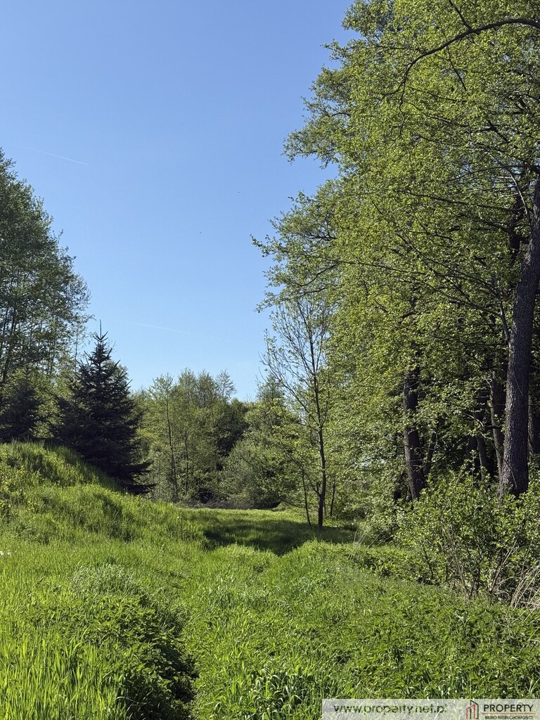 Działki budowlane, Góra Motyczna, gm. Żyraków miniaturka 5