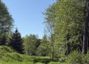 Działki budowlane, Góra Motyczna, gm. Żyraków miniaturka 5