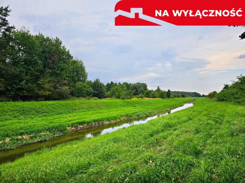Łąki przy kanale - częściowo pod wydobycie torfu!! miniaturka 4
