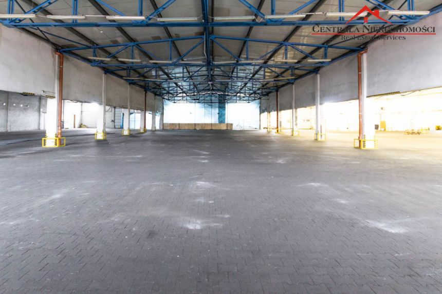 Hala/magazyn/skład od 940 m2 do 3520m2, Bielawy miniaturka 3