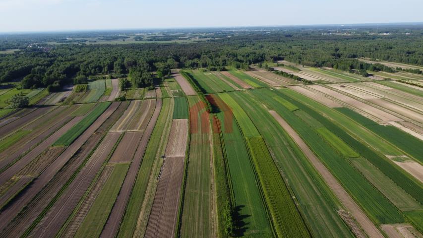 TANIA Działka leśna 2.28ha ZASÓW gm.Żyraków Dębica miniaturka 2