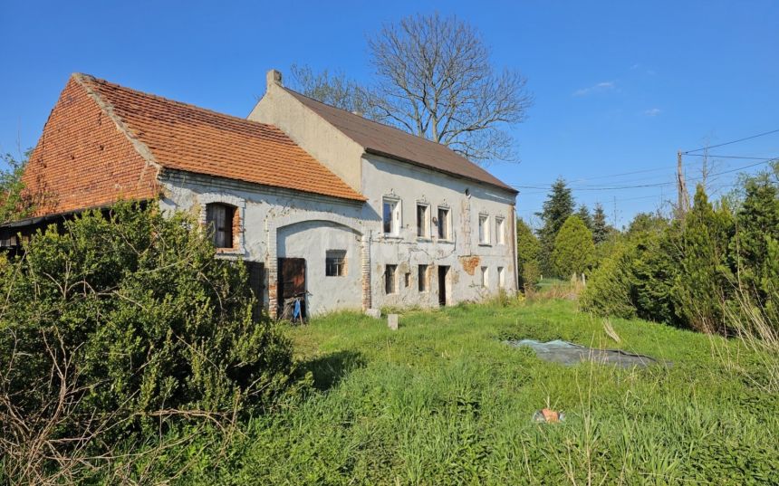 Kochlice, 219 000 zł, 280 m2, jednorodzinny miniaturka 2