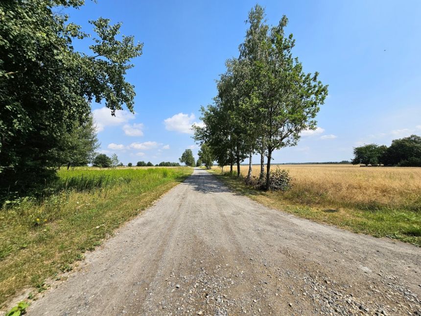 Działka blisko Lasów Kozłowieckich,  Nowodwór miniaturka 7