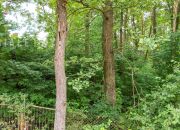 Zielonka Kolonia Nowa Zielonka, 315 000 zł, 6.57 ar, budowlana miniaturka 4