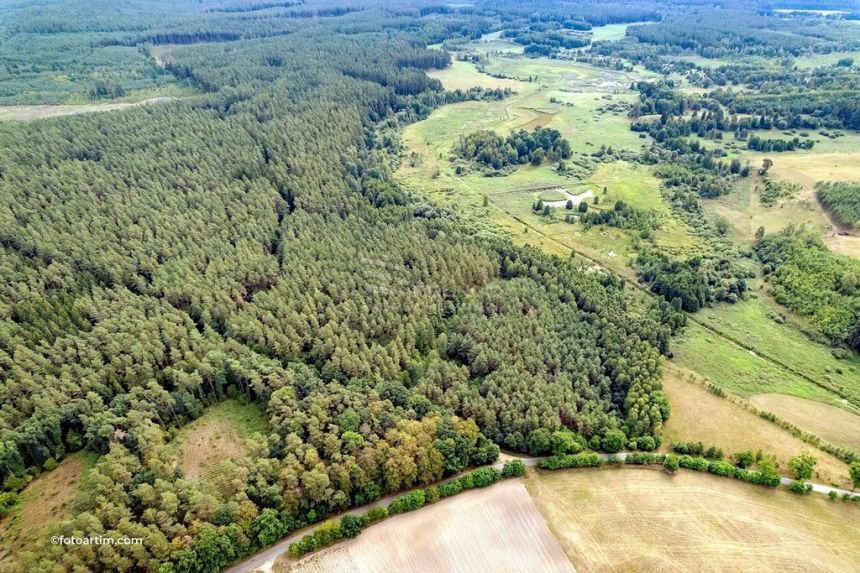 Działka leśna pod Pasymiem miniaturka 4