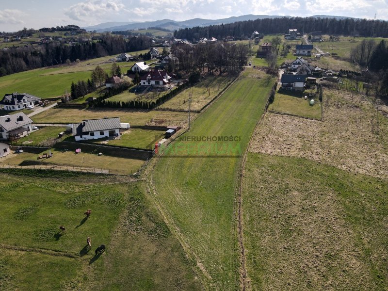 Łazy Biegonickie, 3 300 000 zł, 1.82 ha, prostokątna miniaturka 10