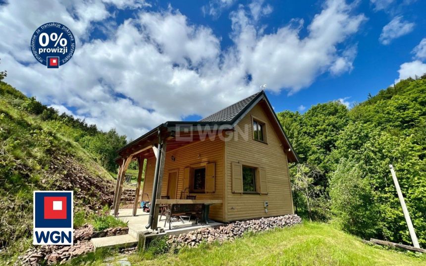 Jedlina-Zdrój, 890 000 zł, 75 m2, jednorodzinny miniaturka 6