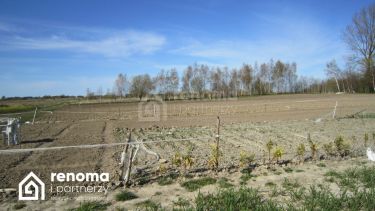 Strzeżenice, 135 000 zł, 10 ar, budowlana