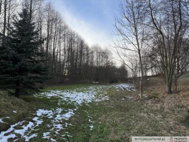 Działka rolna, 1,25 ha, Góra Motyczna, gm. Żyraków