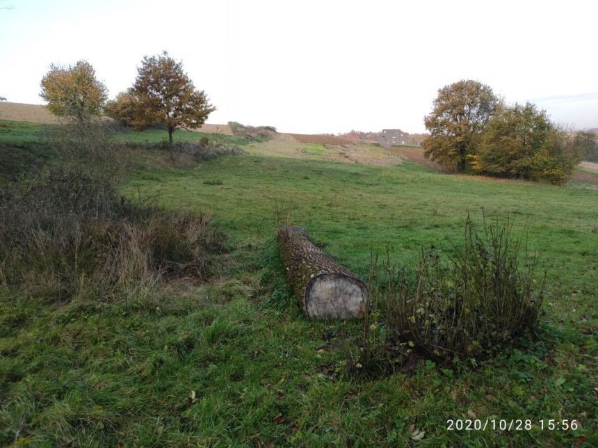 Siedliska, 125 000 zł, 1.13 ha, budowlana miniaturka 11