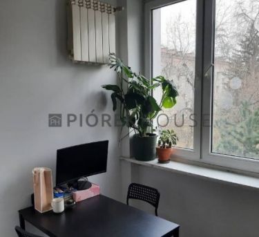 Kawalerka na Pradze-Północ