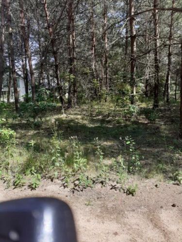 działka z linią brzegową -Pasym