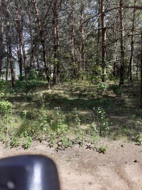 działka z linią brzegową -Pasym - zdjęcie 1