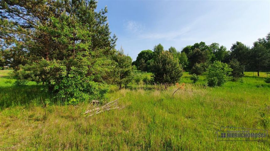 DZIAŁKA BUDOWLANA OK. 200 m OD JEZIORA PILE. miniaturka 14