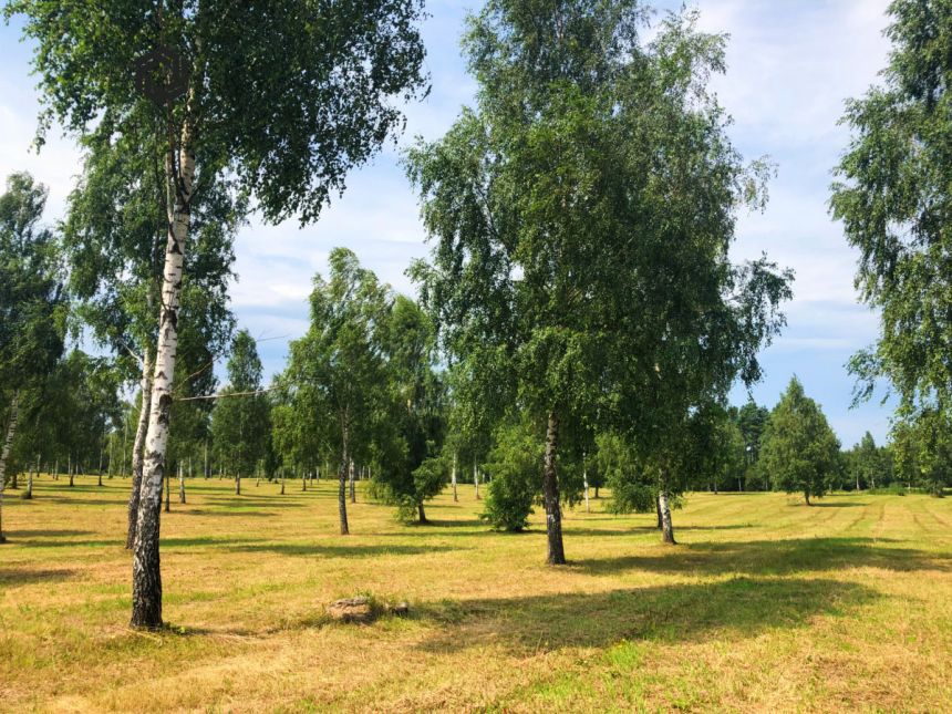 Ostróda, 185 000 zł, 15 ar, budowlana miniaturka 3