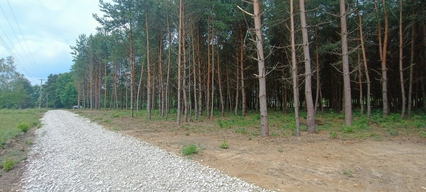 Działka 1240 m2, Niwy Daleszyckie (gm. Daleszyce) miniaturka 13