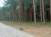 Działka 1240 m2, Niwy Daleszyckie (gm. Daleszyce) miniaturka 13