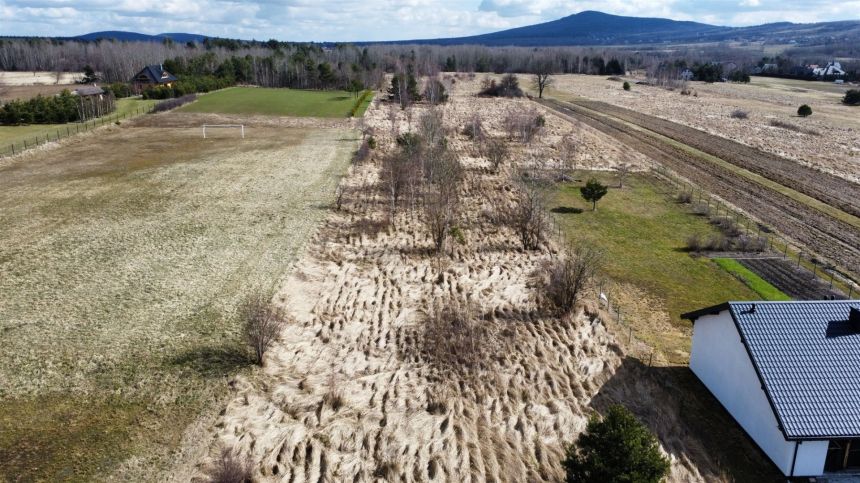 Działka budowlana Ciekoty 700 m2 miniaturka 5