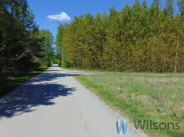 Brzeźce, 230 000 zł, 2.97 ha, przyłącze prądu