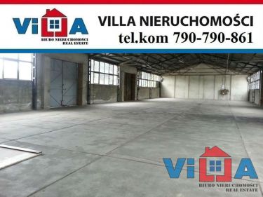 Zielona Góra Stary Kisielin 8 000 zł 700 m2