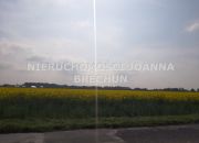 Nieciszów, 180 000 zł, 10.32 ar, budowlana miniaturka 2