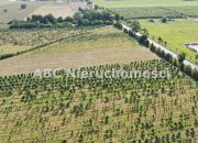 Pobórka Mała, 1 200 000 zł, 5.72 ha, rolna miniaturka 3
