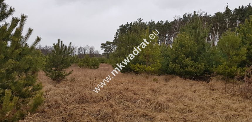 CIEKAWA OFERTA W NISKIEJ CENIE miniaturka 2