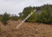CIEKAWA OFERTA W NISKIEJ CENIE miniaturka 2