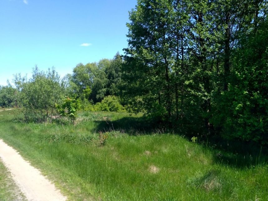 Działka o pow. 25 000 m² pod zabudowę i rekreację. miniaturka 5