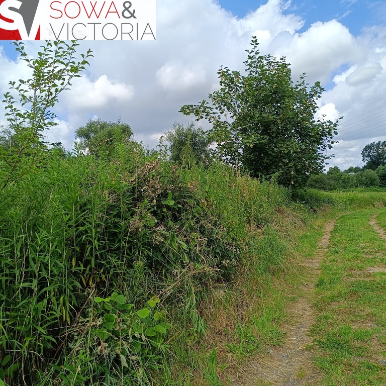 Działka rolna na obrzeżach Świebodzic. miniaturka 4