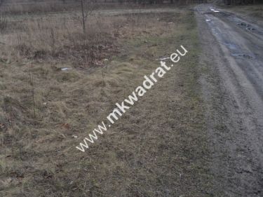 Ciekawa działka inwestycyjna w Pęcicach Małych