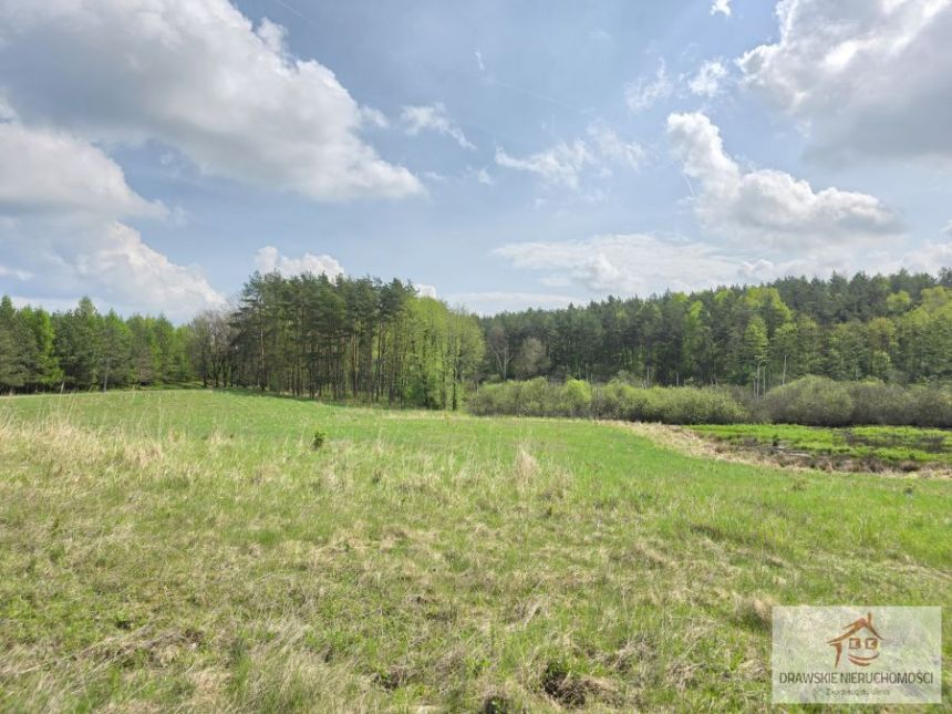 Rzepowo, 495 000 zł, 3.15 ha, rolna miniaturka 13