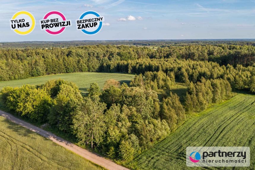 Nowy Wiec, 250 000 zł, 2.29 ha, przyłącze prądu miniaturka 4
