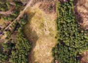 Działka 1,37 ha przy lesie | Zabudowa zagrodowa miniaturka 1