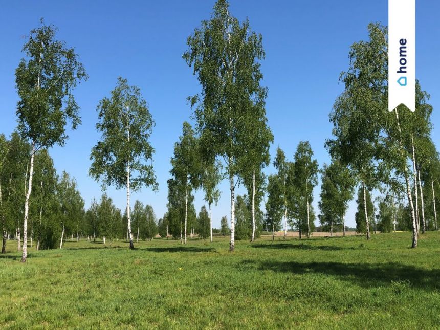 Działka nad Jez. Drwęckim miniaturka 1