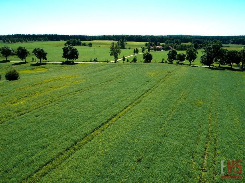 Giżycko 345 000 zł 38.8 ar miniaturka 7