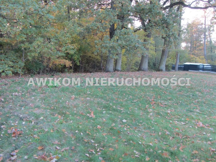 Adamowizna, 220 000 zł, 15.16 ar, woda w drodze miniaturka 2