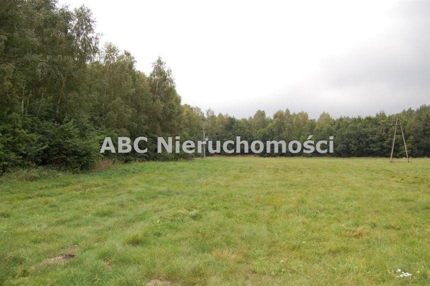 Płytnica, 258 000 zł, 1.72 ha, rolna z prawem zabudowy - zdjęcie 1