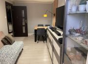 Zgierz Krzywie, 250 000 zł, 37.74 m2, M2 miniaturka 5