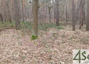 Atrakcyjna działka w Sękocinie Las miniaturka 2