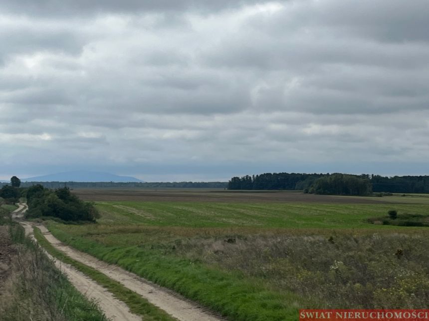 OKAZAJA !! Działka budowlana 1134 m2 w Krynicznie miniaturka 4