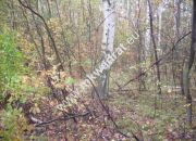 Jaktorów, 623 000 zł, 93 ar, budowlana miniaturka 4