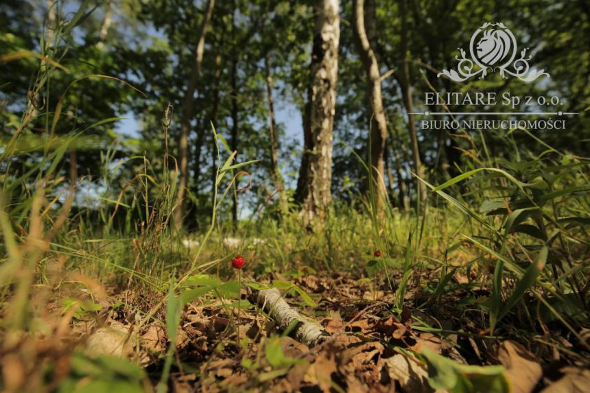Piękny dom w zabudowie bliźniaczej z garażem i ogrodem miniaturka 7