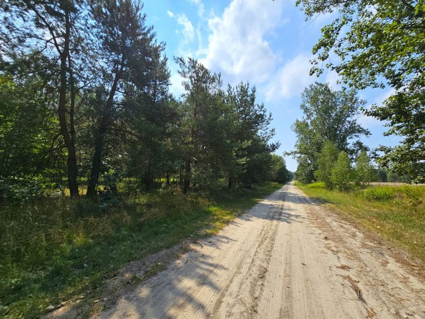 Działka blisko Lasów Kozłowieckich,  Nowodwór miniaturka 5