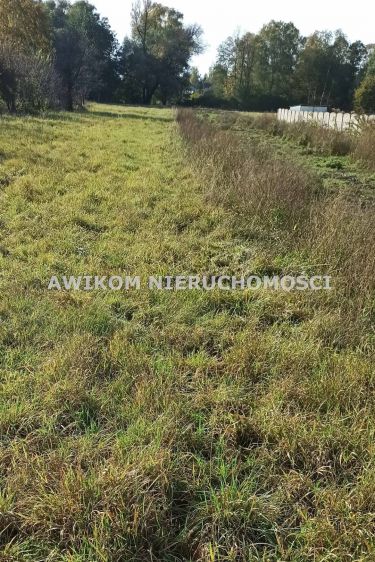 Budy-Grzybek, 328 000 zł, 11.35 ar, budowlana