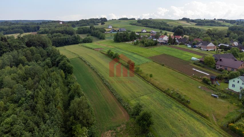 Działka budowlana z widokiem na iglasty las miniaturka 4