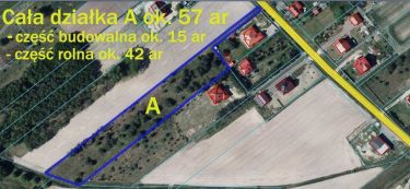 Duża działka 0,6 ha leśno-budowlana Wola Lisowska