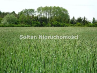 Kotorydz, 5 160 000 zł, 2.58 ha, przyłącze wodociągu